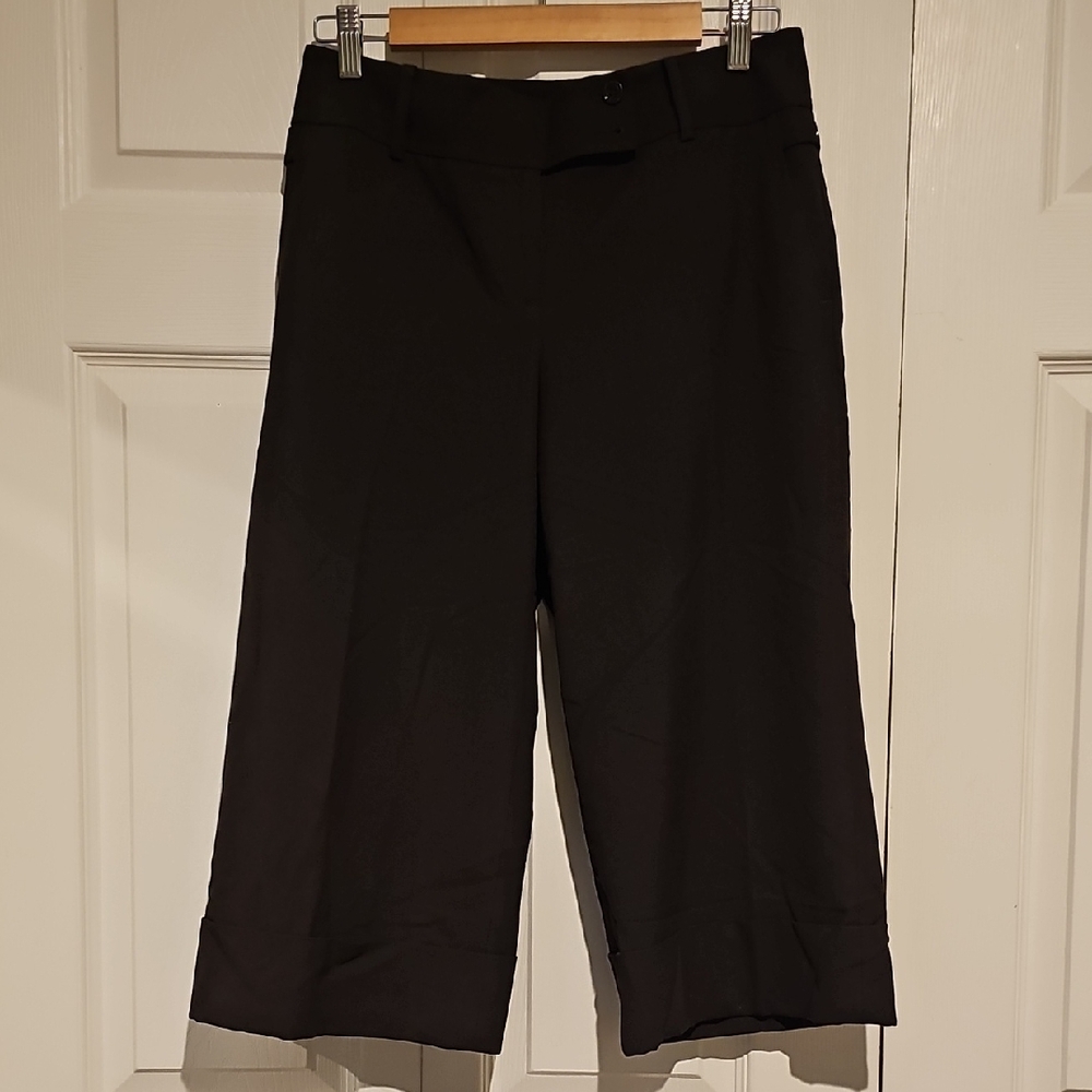 🤎 Ann Taylor Wide-Leg Crop Dress Pants – Waist 28 🤎